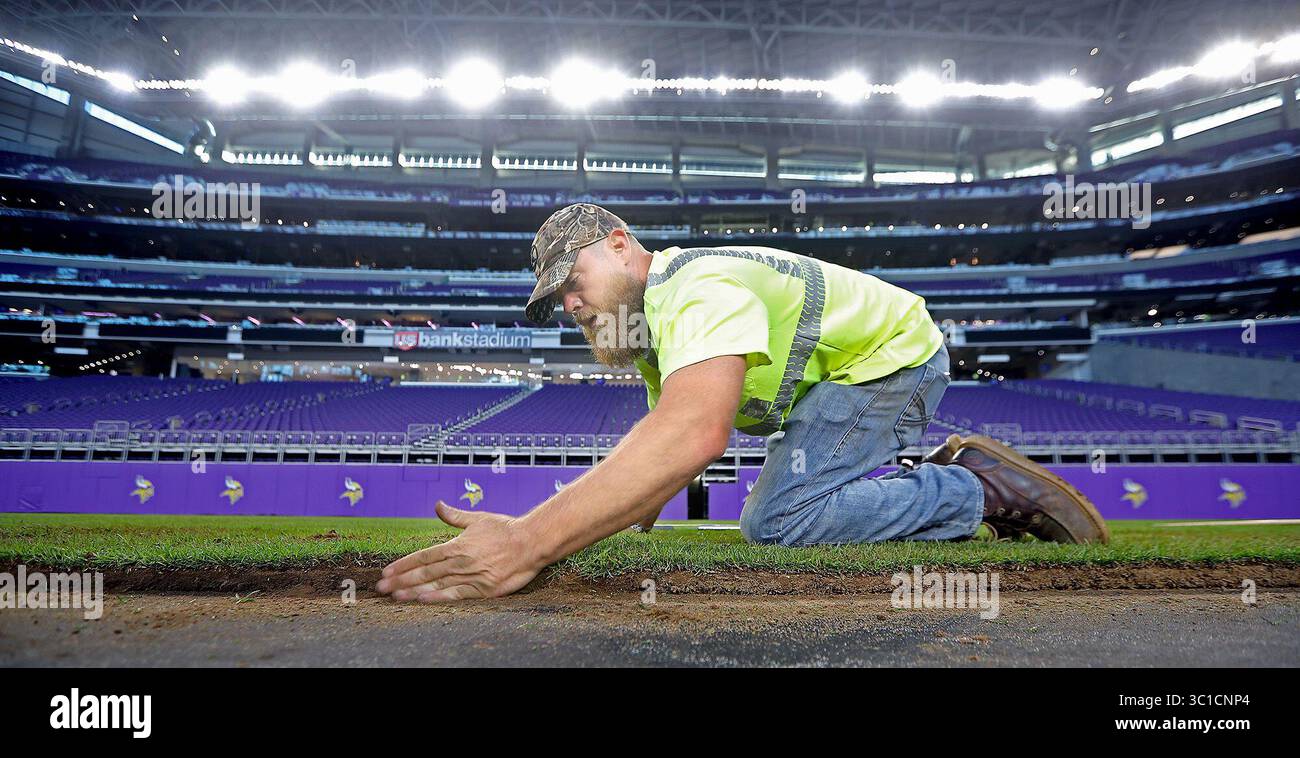 29. Juli 2016: Minneapolis, MN, USA: Mike Carlson von Minnesota Sodding Company (MSC) platzierte Bue Grass in Vorbereitung auf das internationale Fußballspiel am Mittwoch, den 29. Juli 2016 in Minneapolis, MN. Es gab 590 Rollen Blue Grass aus Wisconsin, die über einen Zeitraum von zwei Tagen platziert werden sollten. Jede Rolle wiegt eine Tonne mit insgesamt 1,5 Millionen Pfund. 30 Sattelauflieger wurden benötigt, um die Lasten zu transportieren. (/STAR TRIBUNE) (Bild: Elizabeth Flores/Minneapolis Star Tribune/TNS via ZUMA Wire) Stockfoto