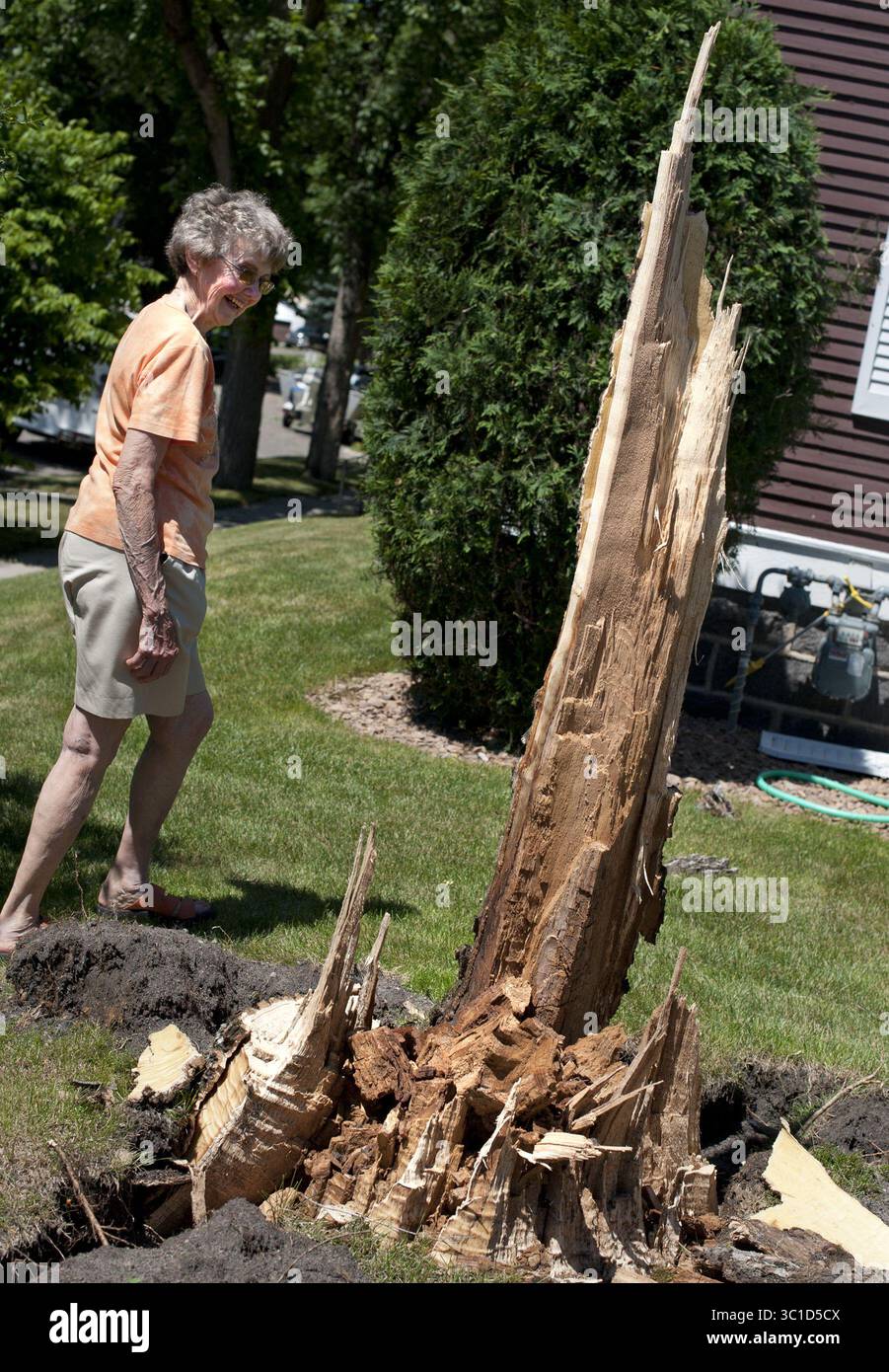 11. Juli 2011 – Minnesota, USA – Sally Brown schaute über das, was von einer riesigen Ulme in ihrem Vorgarten übrig war. Ihre Vorhalle wurde von den Wurzeln einer gefallenen Ulme zerstört, die am Sonntagabend durch das Sauk Centre in Minnesota geweht wurde. 80 bis 85 Meilen pro Stunde geradlinige Winde zerrissen Bäume in der ganzen Stadt. (Kreditbild: Glen Stubbe/Minneapolis Star Tribune/TNS via ZUMA Wire) Stockfoto