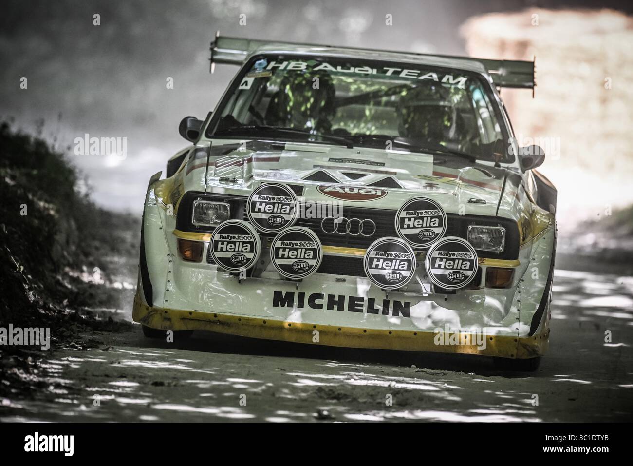 Goodwood Festival of Speed 2025 Forest Rallye Stage Goodwood, England 10/07/2025 Stockfoto