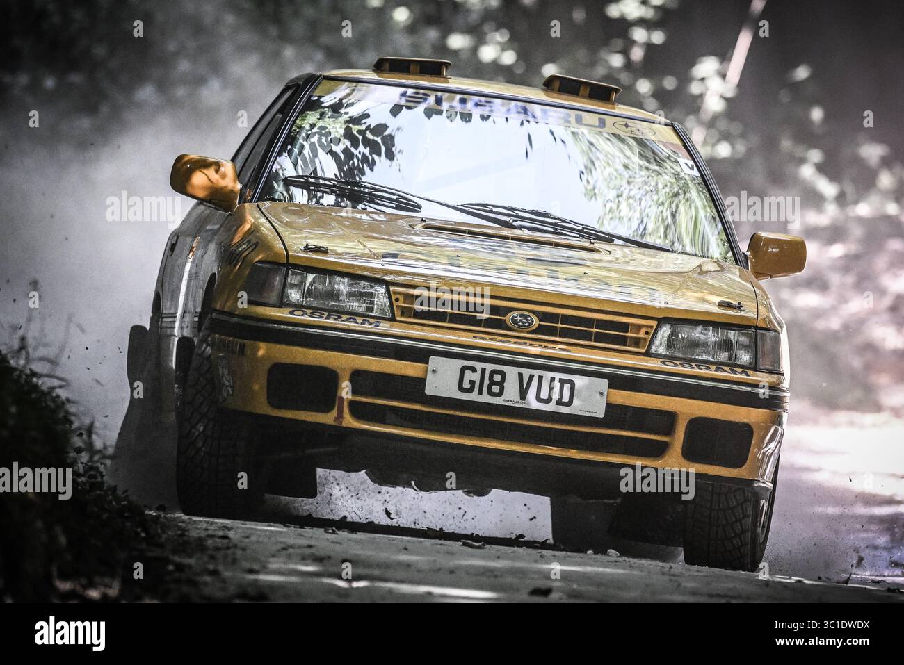 Goodwood Festival of Speed 2025 Forest Rallye Stage Goodwood, England 10/07/2025 Stockfoto