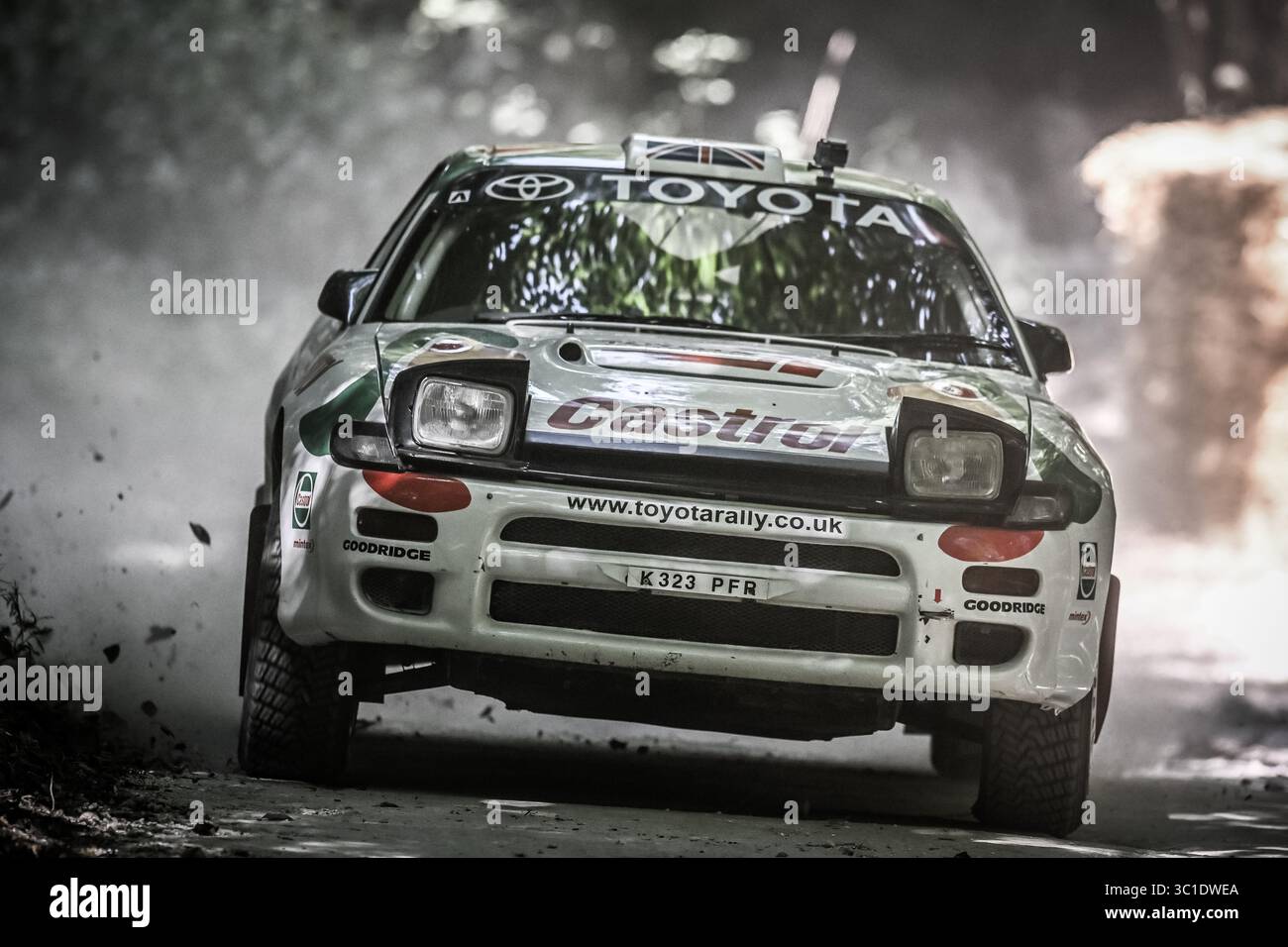 Goodwood Festival of Speed 2025 Forest Rallye Stage Goodwood, England 10/07/2025 Stockfoto
