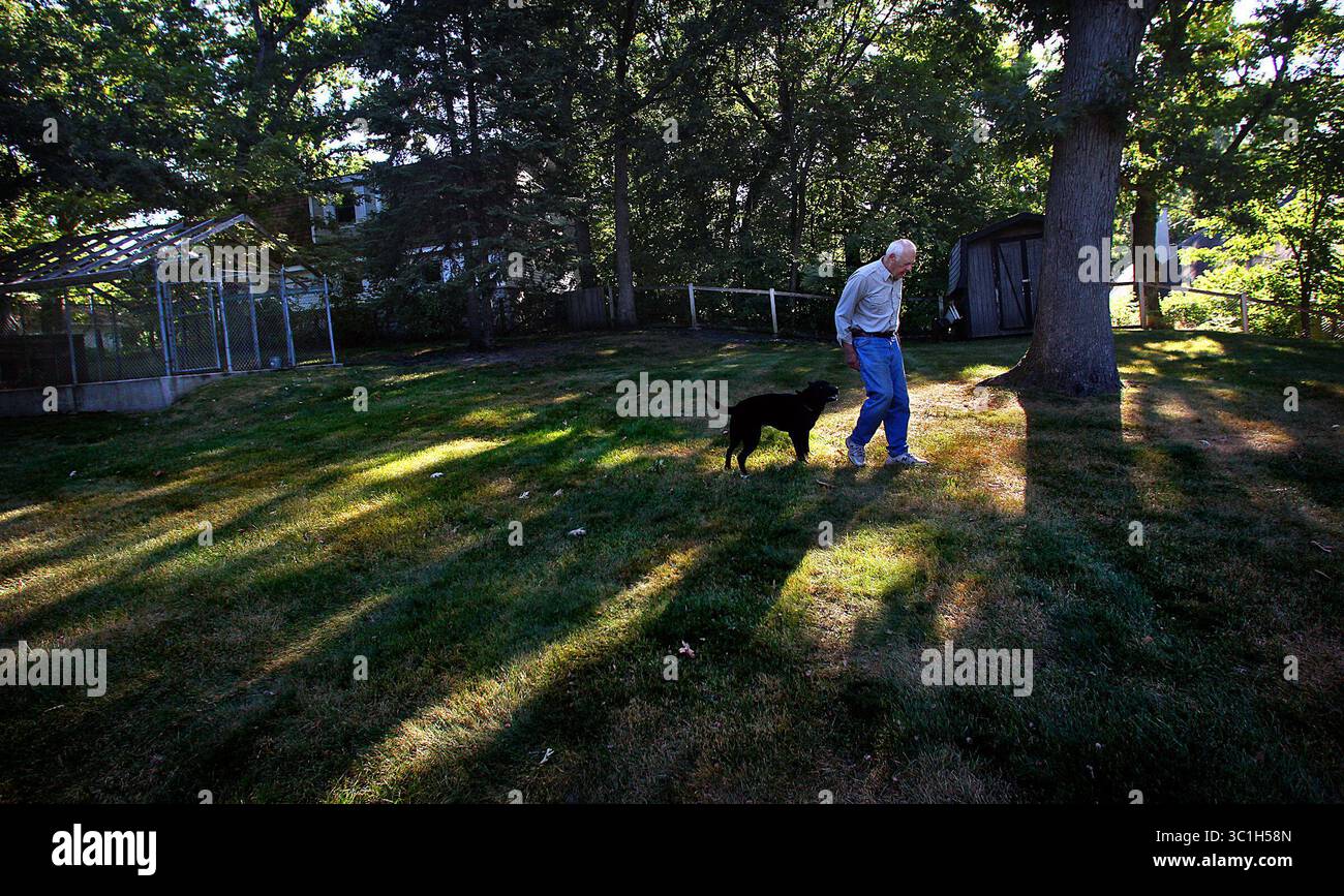 9. September 2011 – Bloomington, MN, USA – der ehemalige Minnesota Vikings Cheftrainer Bud Grant ging in seinen Hinterhof, dicht gefolgt von einem Hund namens Aggie, den er versucht zu sehen, ob er ein geeigneter Jagdhund ist. Grant hat vor kurzem Annie verloren, einen Jagdhund, den er 13 Jahre lang hatte. JIM (/STAR TRIBUNE) / 9. September 2011/12:30 Uhr , Minneapolis ANMERKUNG: Dieses Foto ist eines in einer Serie, die Geschichten von Dennis Anderson über Jäger und ihre Lieblingshunde illustriert. (Bild: Jim Gehrz/Minneapolis Star Tribune/TNS via ZUMA Wire) Stockfoto