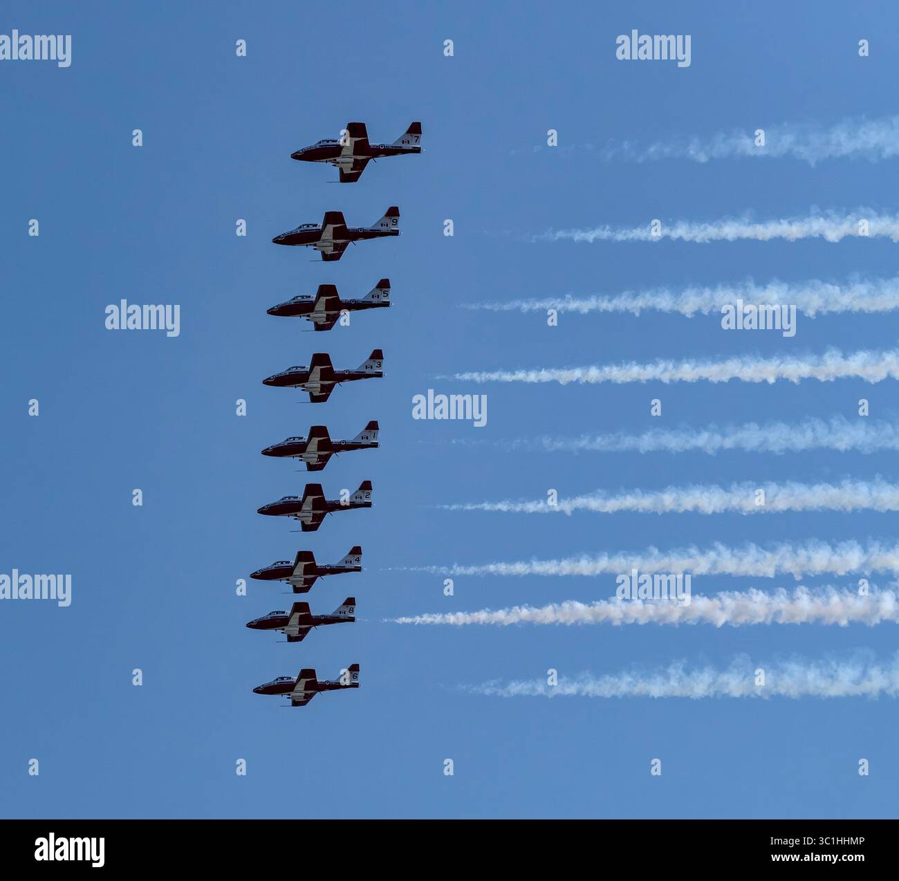 Die Royal Canadian Air Force Snowbirds 431 Demonstration Squadron tritt am 22. Juli 2025 in CT-114 Tutor-Flugzeugen über Victoria, British Columbia, auf. Stockfoto