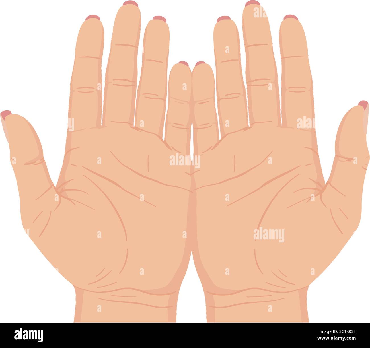 Open Hands Palms Up Vektor-Illustration Stock Vektor