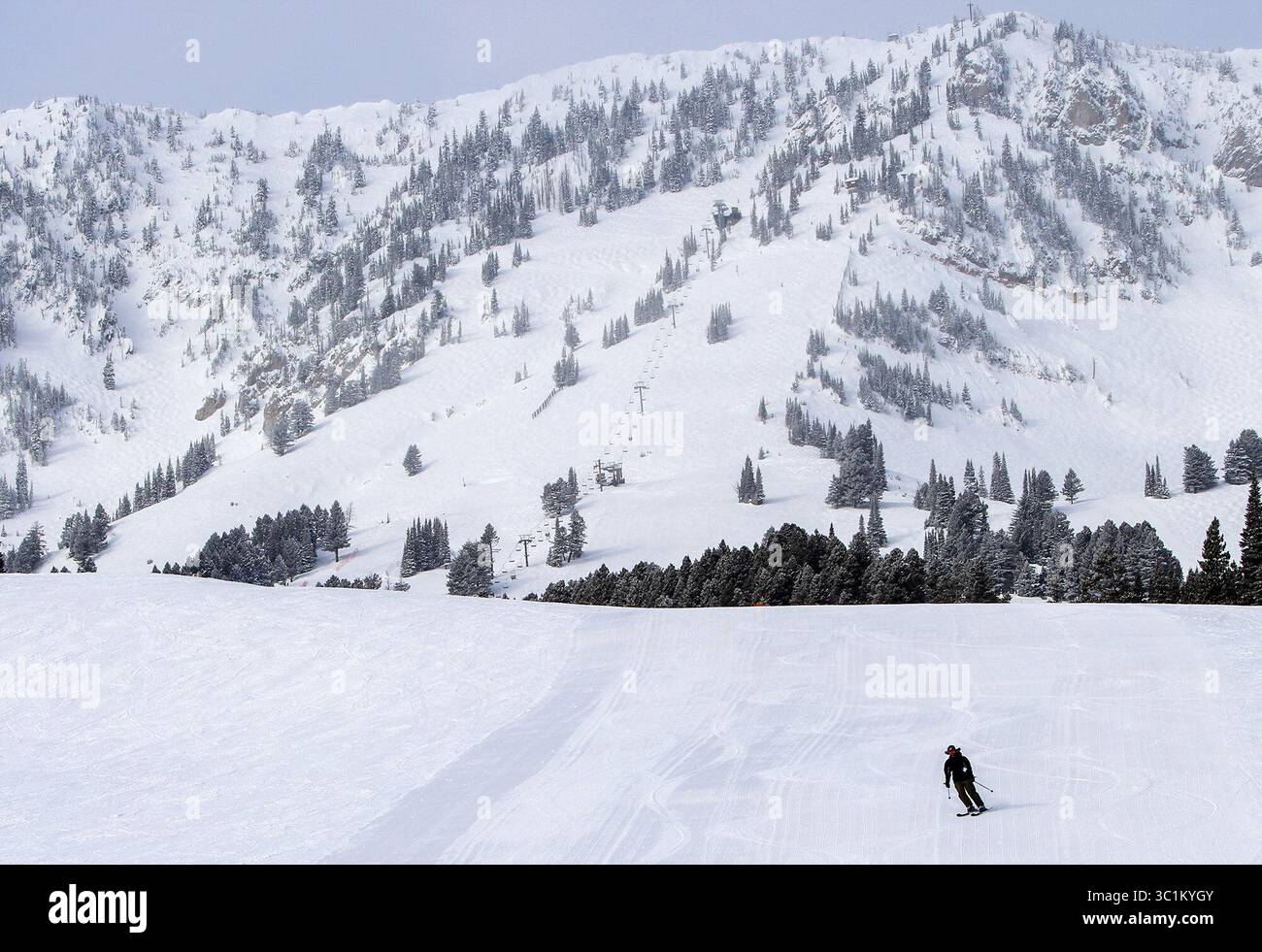 18. Februar 2019 – USA – Ein Skifahrer schneidet in der Nähe des Berges im Skigebiet Bridger Bowl bei Bozeman, Mont Die Gegend bietet atemberaubende Landschaften und Abfahrten für alle Schwierigkeitsgrade, vom Anfänger bis zum fortgeschrittenen Backcountry-Experten. (Foto: © John Myers/Duluth News Tribune/TNS via ZUMA Wire) Stockfoto