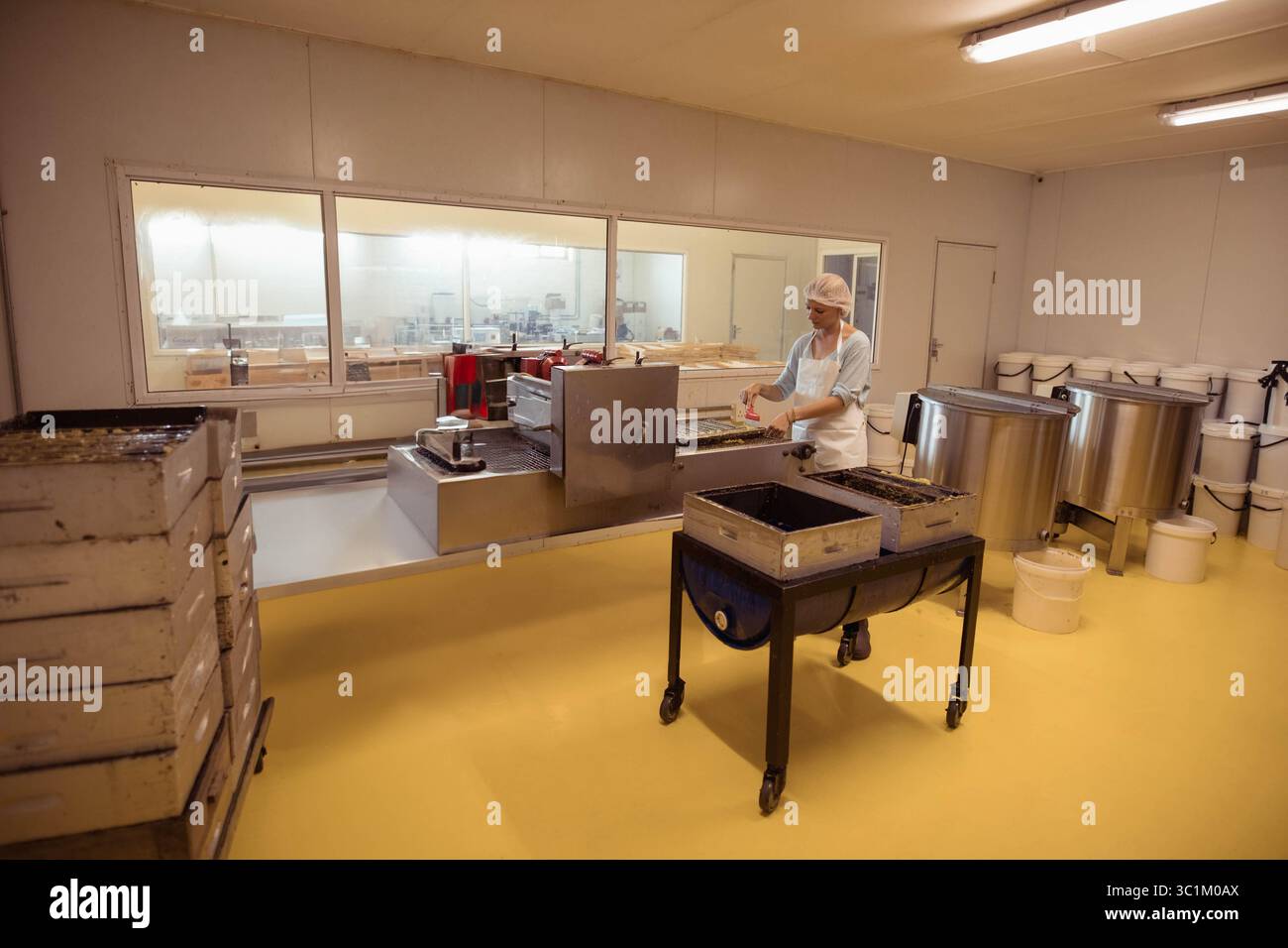 Frau, die Produktschalen auf einem Edelstahlband im Lebensmittelverarbeitungsraum, Kopierraum handhabt Stockfoto