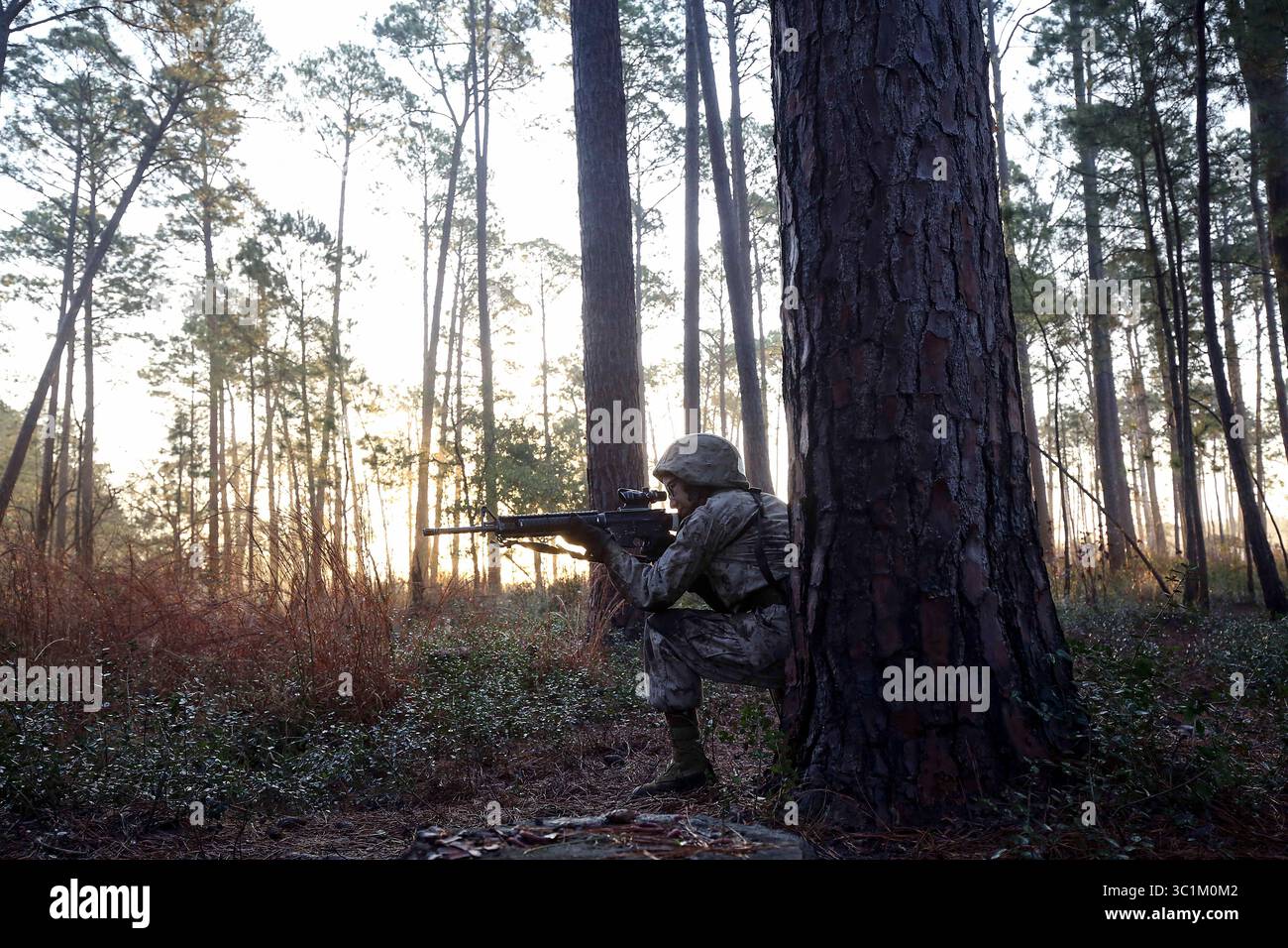 22. Februar 2019 - Beaufort, South Carolina, USA - Rekruten mit November Company, 4. Rekruten-Ausbildungsbataillon, komplette Hindernisse während des Schmelztiegels im Marine Corps Recruit Depot Parris Island, 21. Februar. The Crucible ist ein 54-stündiges Höhepunkt-Event, bei dem Rekruten als Team arbeiten und Herausforderungen meistern müssen, um den Titel United States Marine zu erlangen. (Kreditbild: © U.S. Marine Corps/ZUMA Wire/ZUMAPRESS.com) Stockfoto