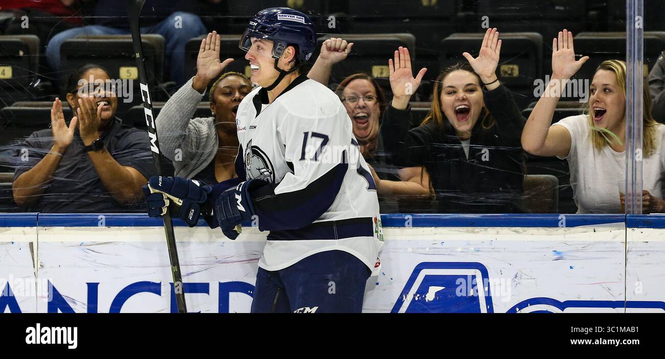 Fan React auf Jacksonville Icemen Stürmer Everett Clark (17), nachdem er in der zweiten Periode eines ECHL-Profihockeyspiels in der Veterans Memorial Arena in Jacksonville, Florida, am Mittwoch, 27. Februar 2019 erzielte. (Gary Lloyd McCullough/Cal Sport Media)(Credit Image: &Copy; Gary Lloyd McCullough/CSM via ZUMA Wire) Stockfoto