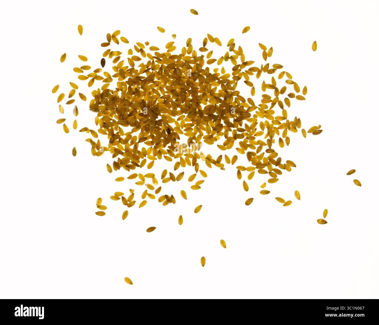 Verstreute Körner von Goldenem Flachs. Golden Flaxseeds hat sich chaotisch ausgebreitet. Weißer Hintergrund. Draufsicht. Natürliche pflanzliche Quelle von Omega-3 und Vitaminen. Stockfoto