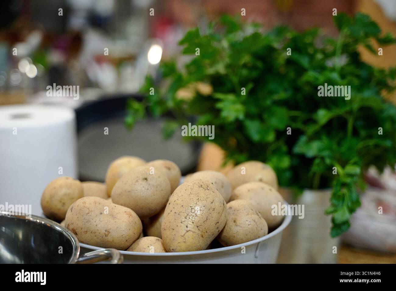 Rohe Kartoffeln und frische Petersilie auf Küchenarbeitsplatten Stockfoto