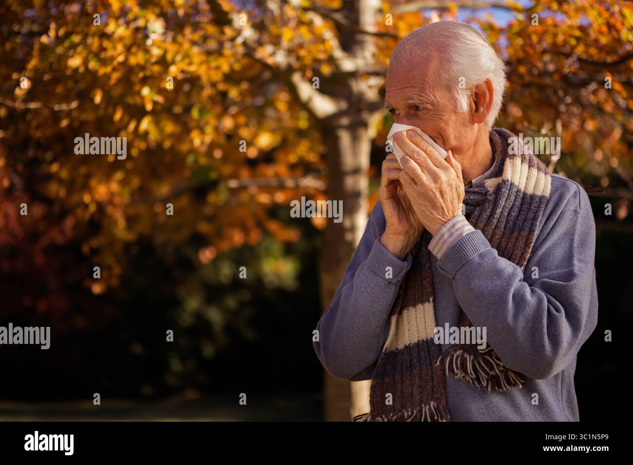 Ein älterer Mann, der im Herbstpark mit gelben und orangen Blättern die Nase mit Taschentuch bläst, trägt einen Schal Stockfoto