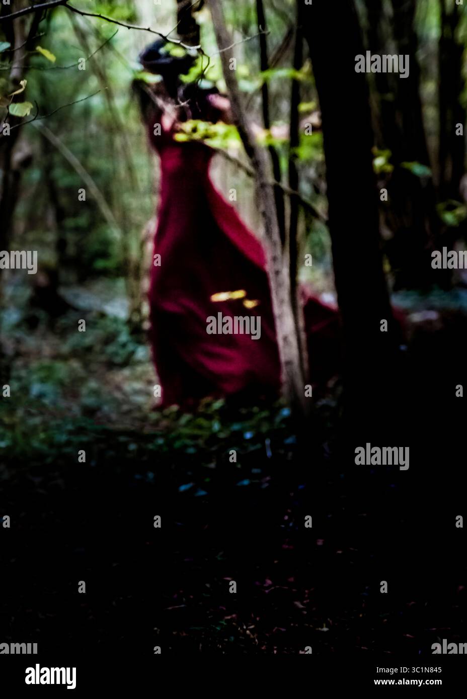 Eine Person in einem langen roten Kleid läuft durch einen Wald. Stockfoto