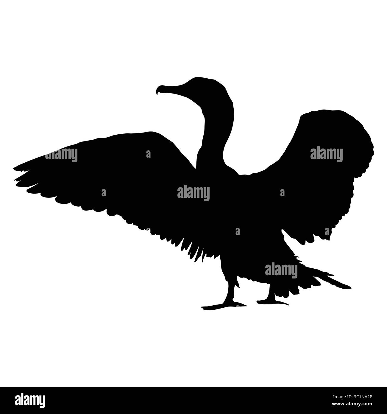 Silhouette eines Kormoranvogels mit ausgestreckten Flügeln Stock Vektor