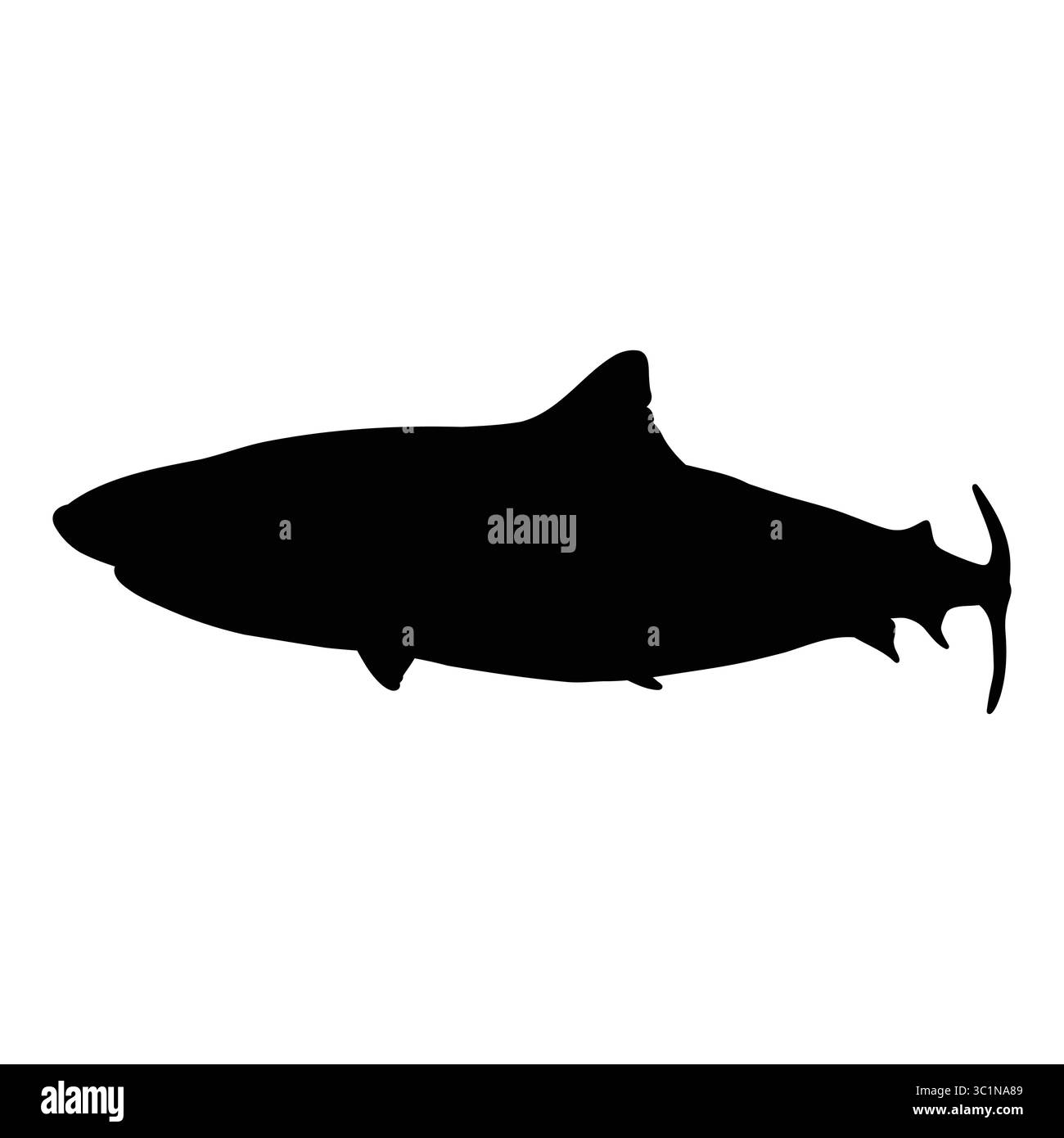 Silhouette des Thunfisches isoliert auf weißem Hintergrund Stock Vektor