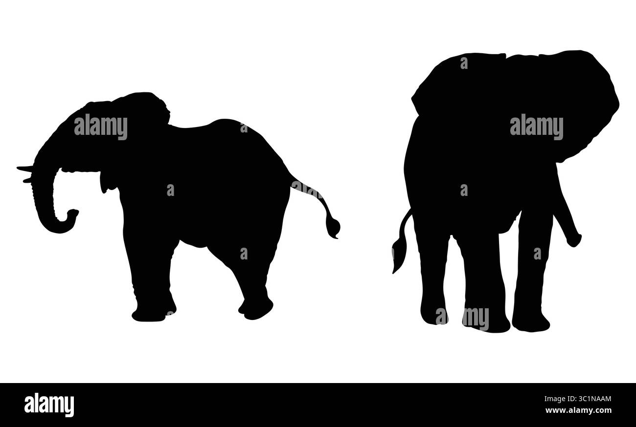 Elefant Silhouette Illustration von zwei stehenden Elefanten nebeneinander Stock Vektor