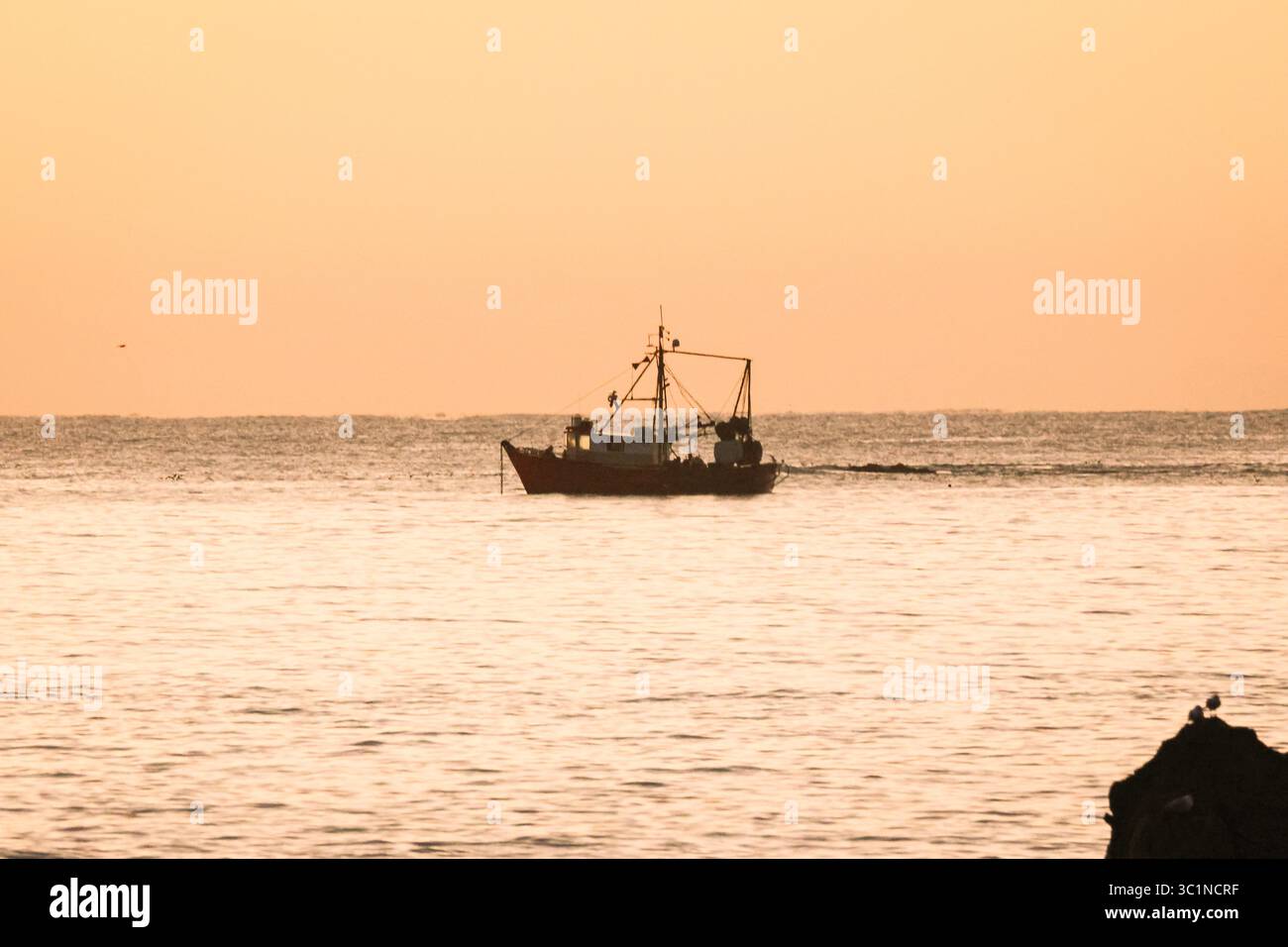 Morning Drift in Kaikōura: Die Silhouette eines Fischerbootes gleitet bei einem goldenen Sonnenuntergang über das ruhige Meer und schafft eine friedliche maritime Szene. Stockfoto