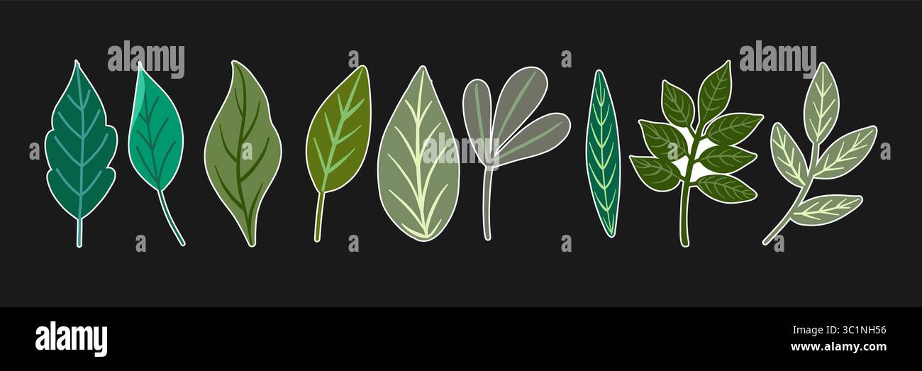 Vektor-Illustration mit einer Sammlung von Aufklebern mit verschiedenen Blattformen. Jedes Blatt zeigt verschiedene Farben und Formen mit weißer Umrandung Stock Vektor Vektor-Illustration mit einer Sammlung von Aufklebern mit verschiedenen Blattformen. Jedes Blatt zeigt verschiedene Farben und Formen mit weißer Umrandung Stock Vektor