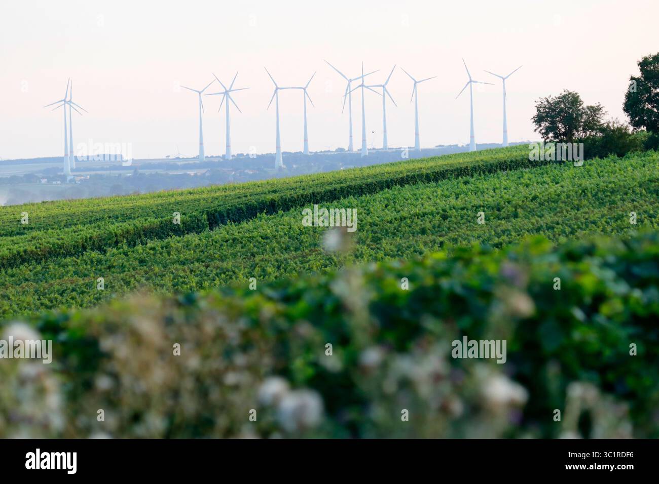 Windkraftanlage - Symbolbild Alternative Energien, Windkraft/ Windturbinen - symbolisches Bild alternativer Energien, Windkraft (nur für redaktionel) Stockfoto