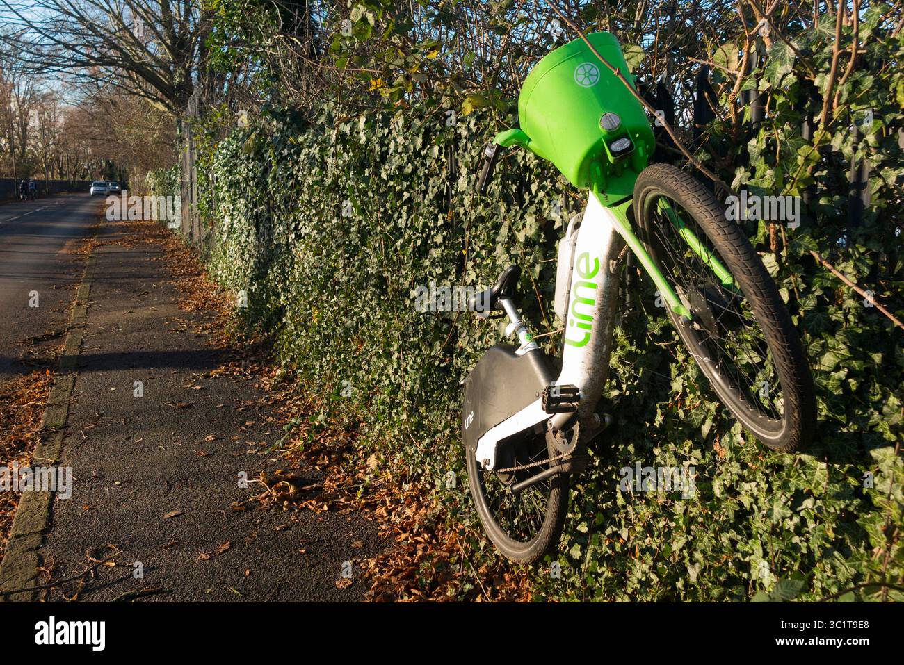 Leihfahrräder mit Lime/Elektro-E-Bikes wurden von einem Radfahrer oder Unruhestifter schlecht abgeladen, am Zaun neben dem Straßenbelag in Hampton, in der Nähe von Sunbury. UK (142) Stockfoto