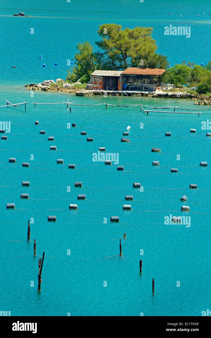 Muscheln- und Austernbetten in Ston an der dalmatinischen Küste Kroatiens. Stockfoto