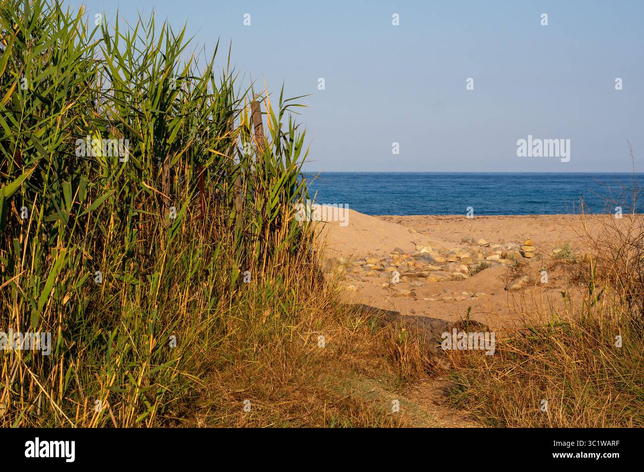 Sanddünen und Gras des Küstenweges des Meeres auf Korsika Island frankreich Stockfoto