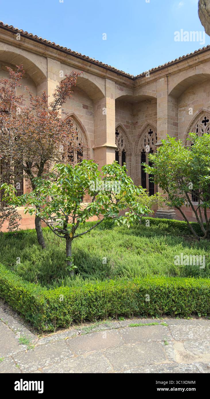 Besucher genießen den ruhigen Innenhof der Catedral de Siguenza, umgeben von üppigem Grün und historischer Architektur an einem klaren Nachmittag in Spanien. Stockfoto
