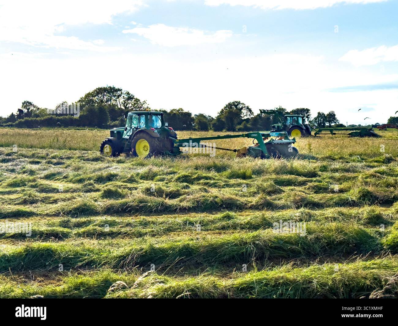 Das Heu retten - die Heuernte in County Galway, Irland Stockfoto