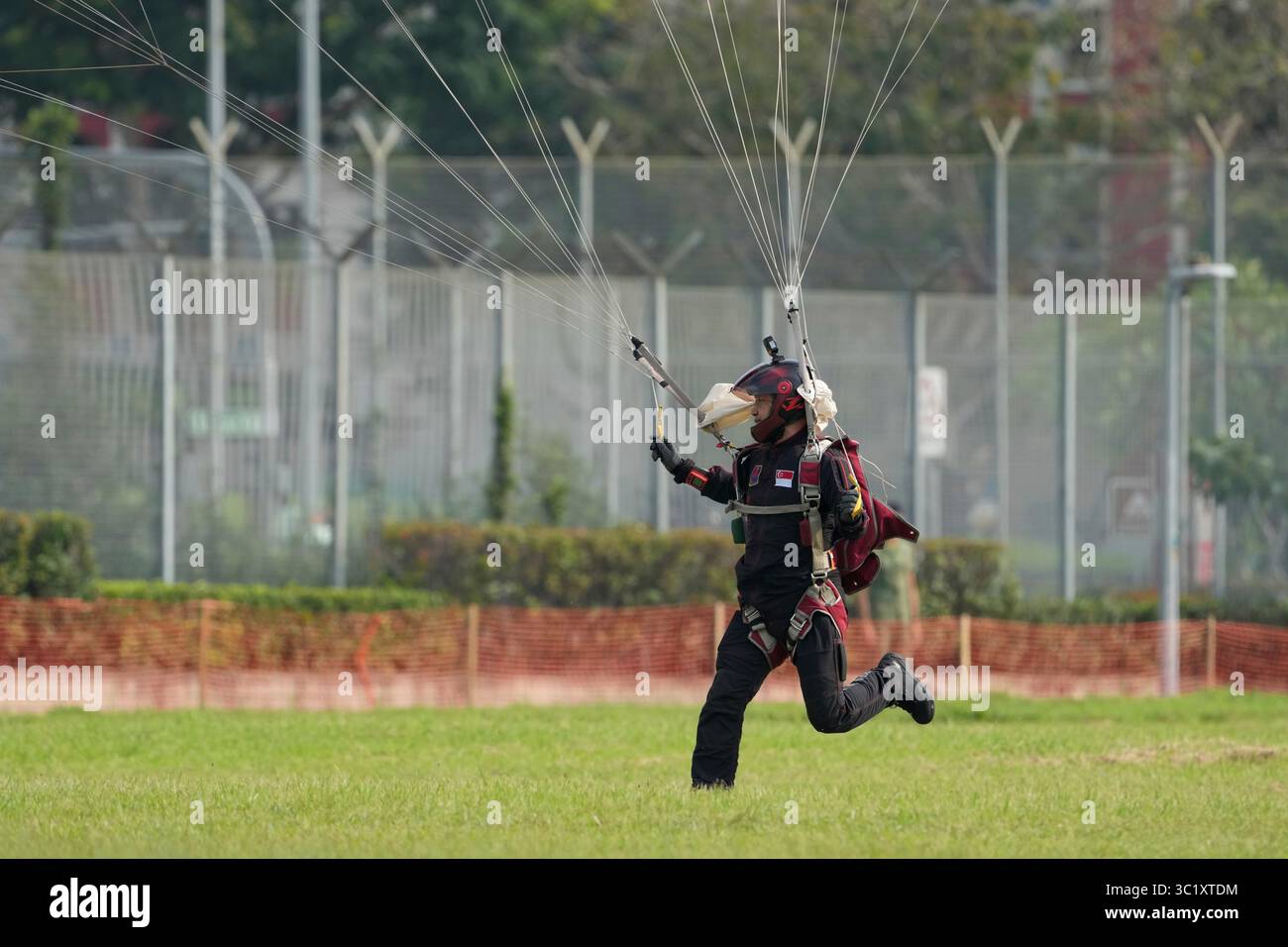 Die Red Lions Stockfoto