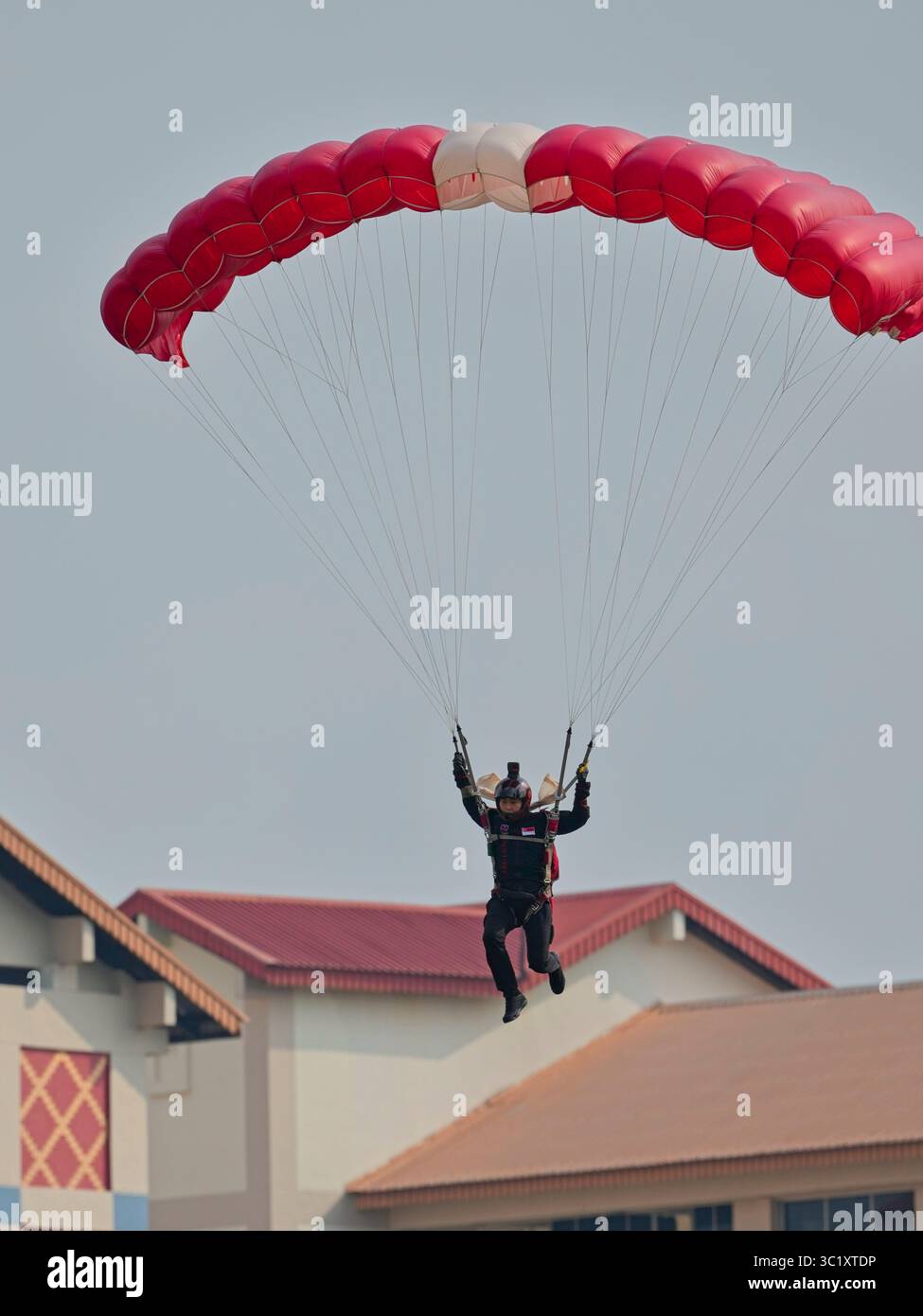 Die Red Lions Stockfoto