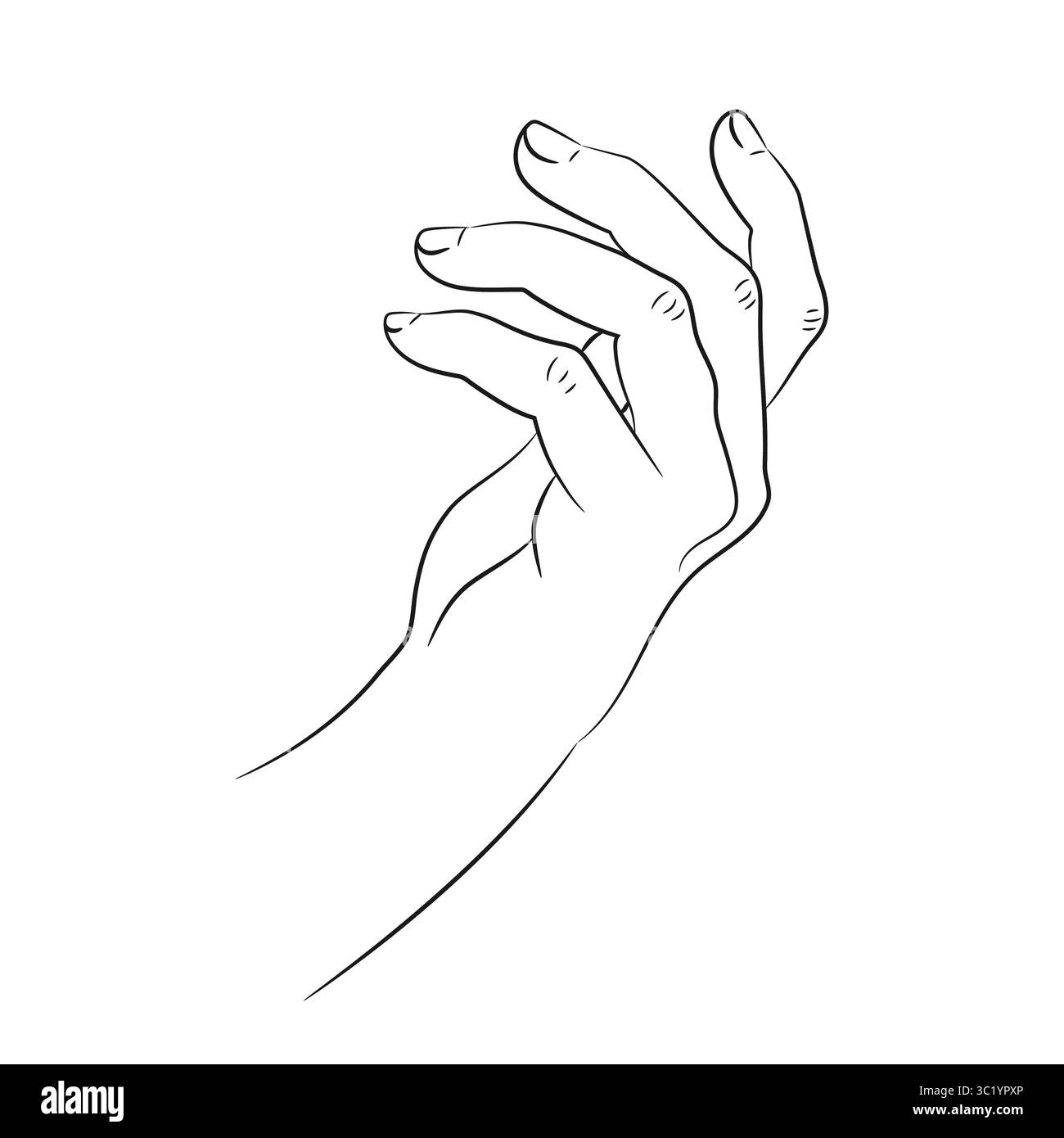 Umriss der menschlichen Hand. Elegante menschliche Handgeste. Vektorabbildung Stock Vektor