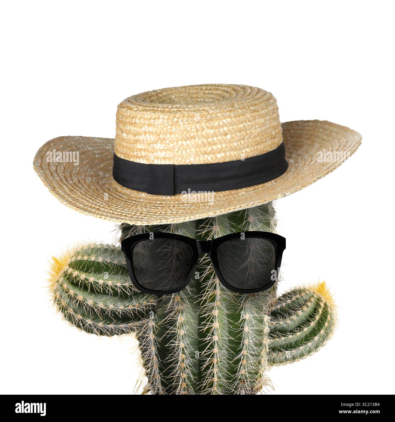 Kakteen mit Sonnenbrille und Hut auf weißem Hintergrund Stockfoto