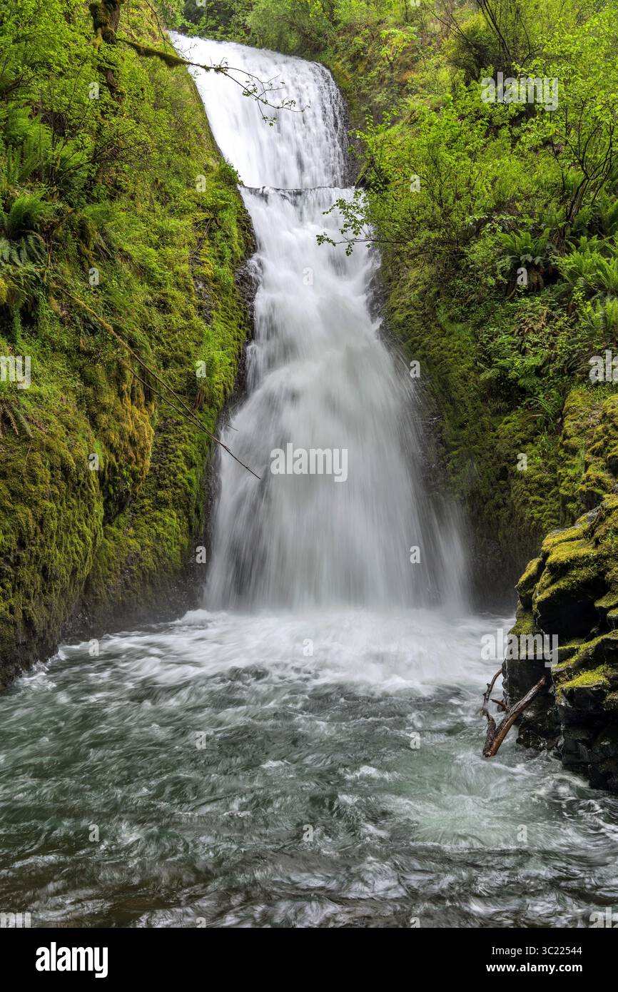 Bridal Veil Falls - Ein vertikaler Blick auf die brüllenden Bridal Veil Falls an einem stürmischen Frühlingstag. Columbia River Gorge, Oregon, USA. Stockfoto