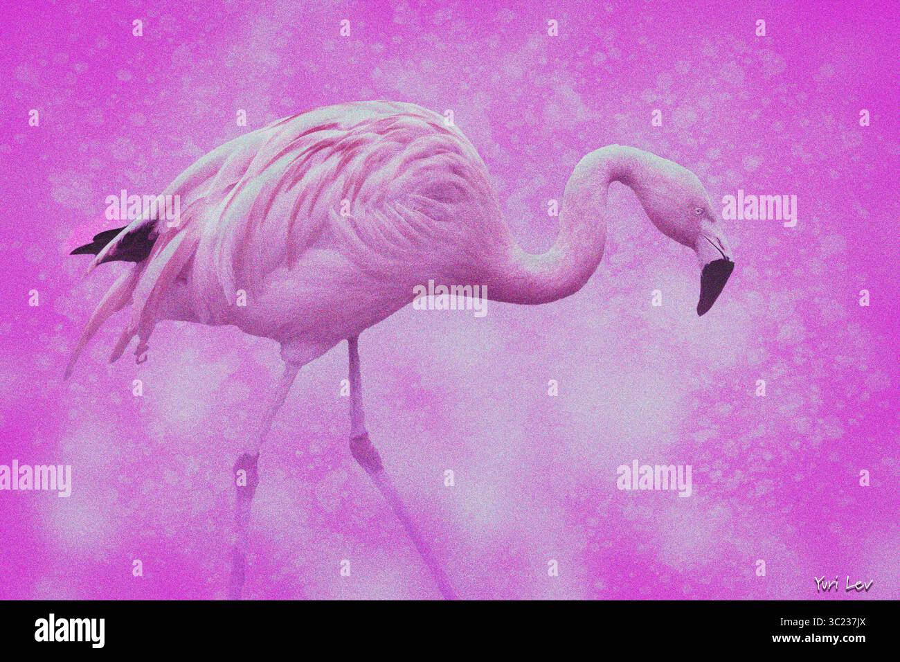 Das ist die Darstellung eines rosa Flamingos durch einen Künstler. Es ist der perfekte Wall Pice für ein Wellnesscenter, eine Schwulenbar, eine Boutique, eine Bar, ein Restaurant oder ein Resort. Stockfoto