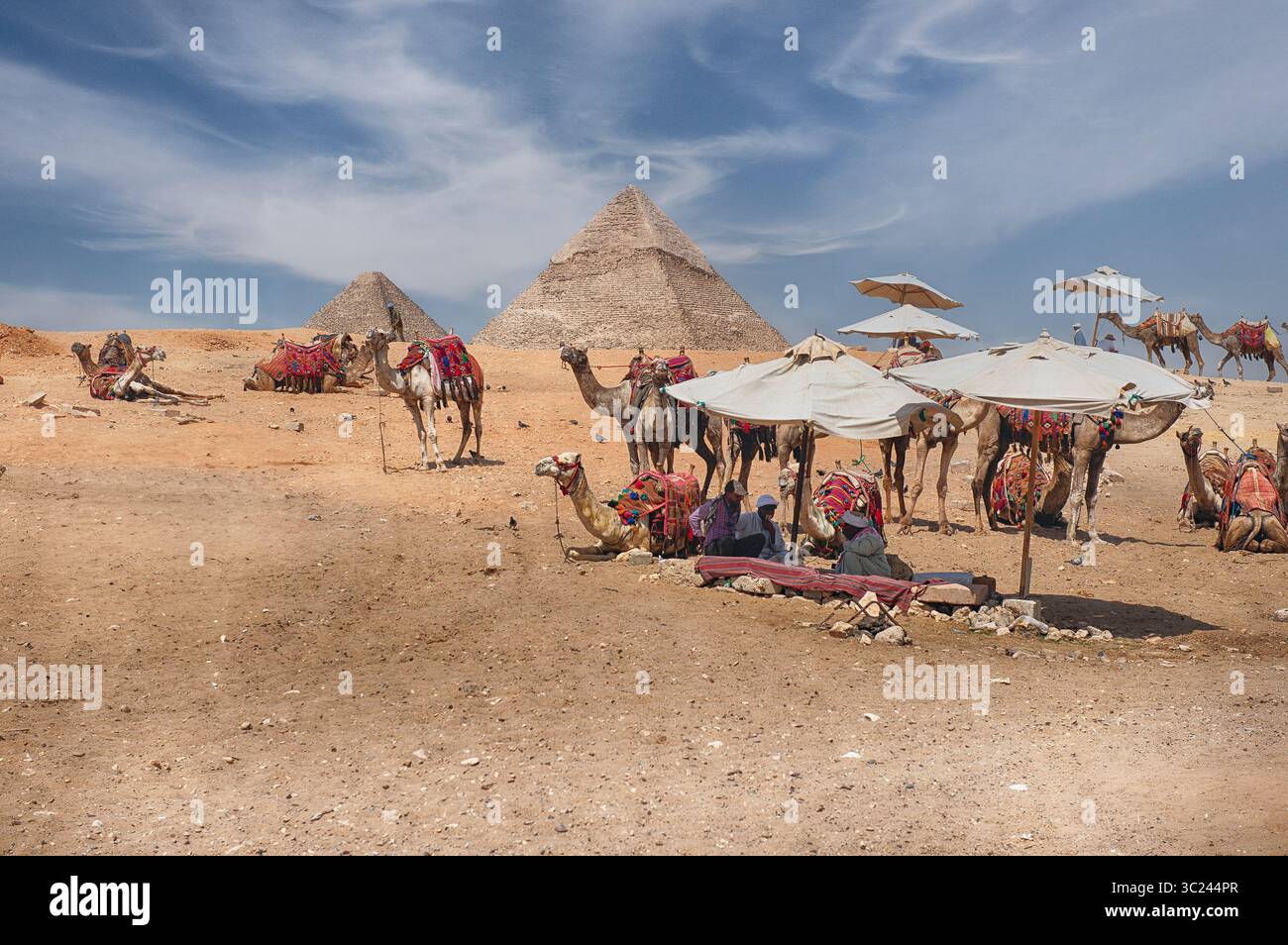 KAIRO, ÄGYPTEN - 30. JUNI 2025: Beduinen und Kamele im malerischen Pyramidenkomplex von Gizeh, Kairo, Ägypten Stockfoto KAIRO, ÄGYPTEN - 30. JUNI 2025: Beduinen und Kamele im malerischen Pyramidenkomplex von Gizeh, Kairo, Ägypten Stockfoto