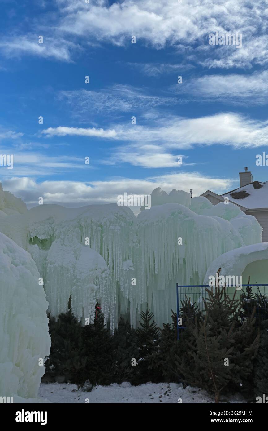 Eine Gruppe kleiner Weihnachtsbäume vor einer Eiswand mit Eiszapfen in Ice Castles am Genfer See, Wisconsin, USA Stockfoto