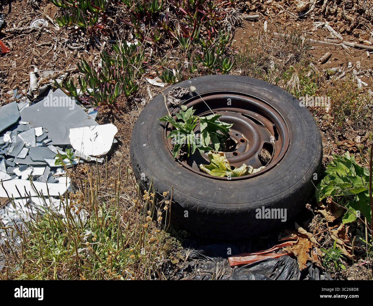 Alte gebrauchte, weggeworfene Autoreifen in Kalifornien Stockfoto