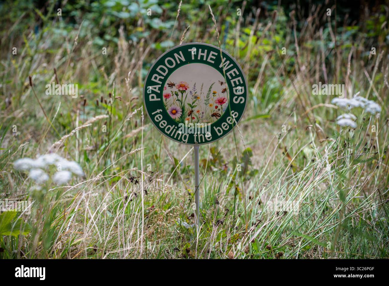 „Pardon the Unkraut Protecting the Bees“-Schild auf einem Rasen in Südengland, um das Unkraut vor dem Mähen zu schützen, um mehr Bienen und Insekten anzulocken, Großbritannien Stockfoto