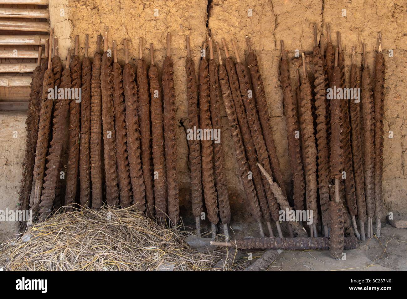 Handgefertigte Kuhmist-Brennstäbe, gemischt mit Stroh und anderen organischen Materialien, werden an einer Schlammwand befestigt, um in einem ländlichen Dorf in Bangladesch zu trocknen. Stockfoto