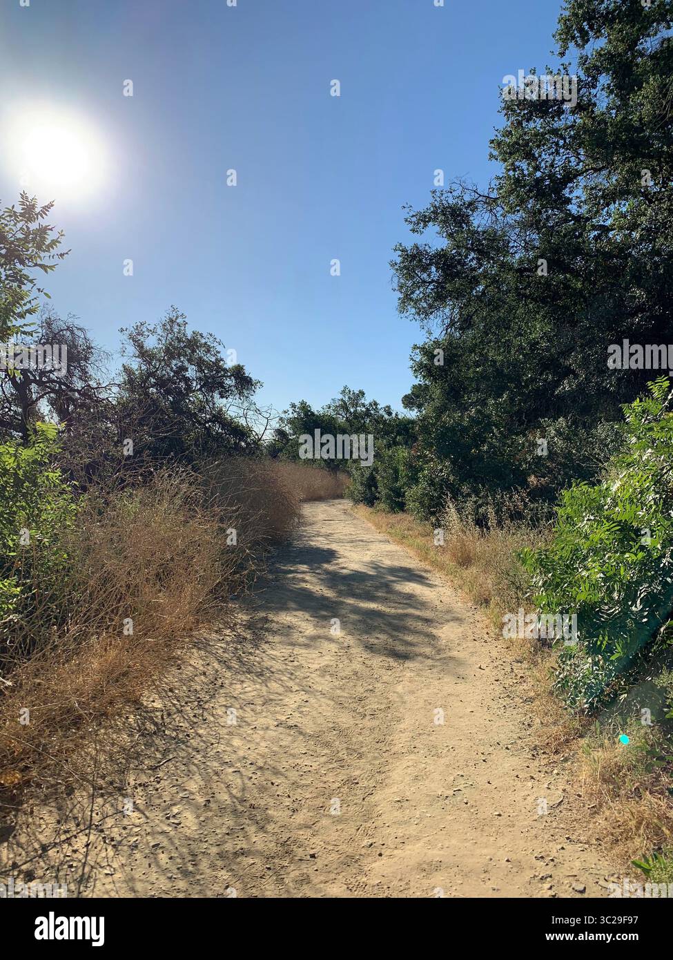 Sonnenbeschienener Wanderweg durch trockenes Kalifornisches Chaparral im Wilacre Park, Los Angeles, Kalifornien, USA. Stockfoto