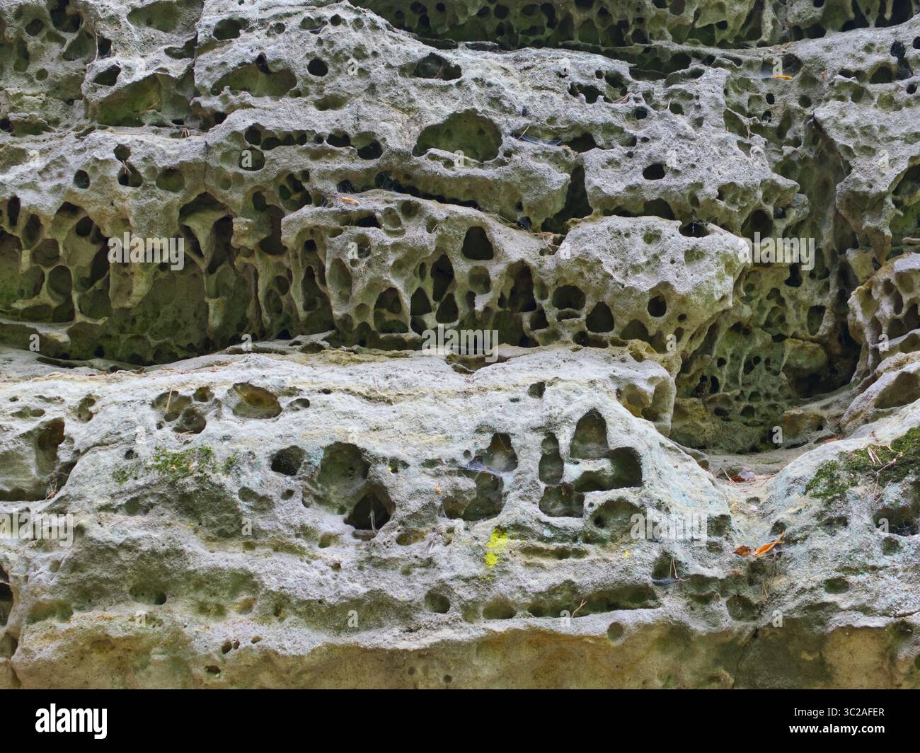 Gesteinserosion. Eine Felswände, die durch Wetter und Erosion beeinflusst wurden und in die verschiedene Löcher gehauen wurden Stockfoto