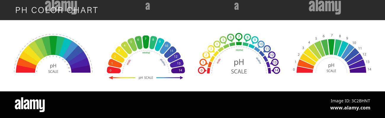 PH-Wertskala. Satz von Farbdiagrammen mit pH-Wert. Skalenindikator für Lackmuspapiertest. Vektorillustration isoliert auf weißem Hintergrund Stock Vektor