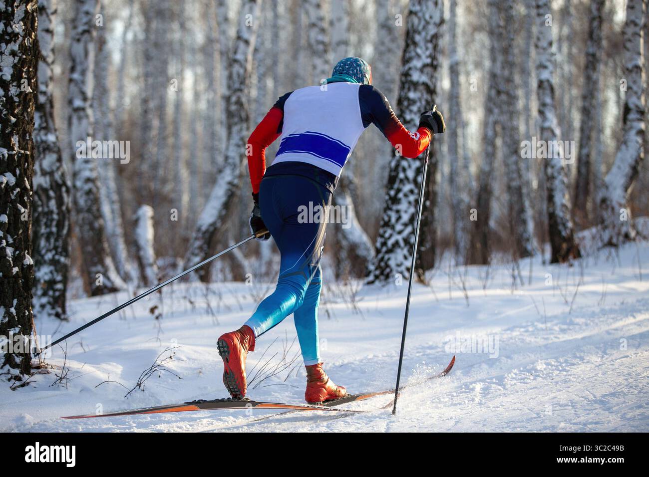 Skifahrer im Birkenwald bei Skirennrennen Stockfoto