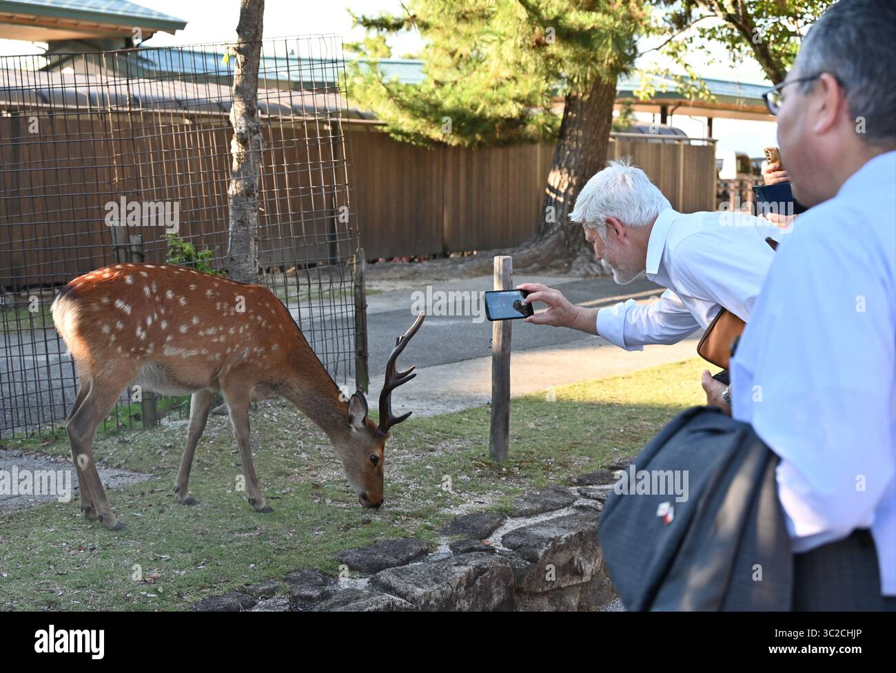 Miyajima, Japan. Juli 2025. Der tschechische Präsident Petr Pavel startete sein offizielles Programm während seines Besuchs in Japan - hier fotografiert der Präsident (2. Von rechts) heute, Mittwoch, 23. Juli 2025, mit seinem Handy einen sika-Hirsch beim Besuch des Icukushima-Schreins auf der Insel Miyajima. Das UNESCO-Weltkulturerbe, so der Präsident, verbindet Geschichte, Architektur und Natur in einer Kombination, die nirgendwo sonst auf der Welt zu sehen ist. Quelle: Alzbeta Souckova/CTK Photo/Alamy Live News Stockfoto