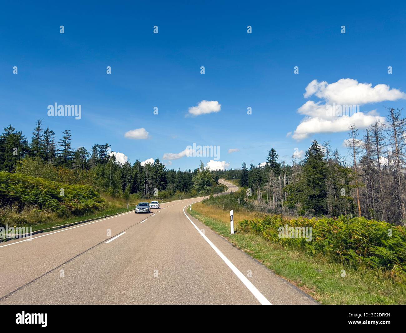 Die Straße durch den Schwarzwald in Baden-Wuertenberg. Deutschland. Stockfoto