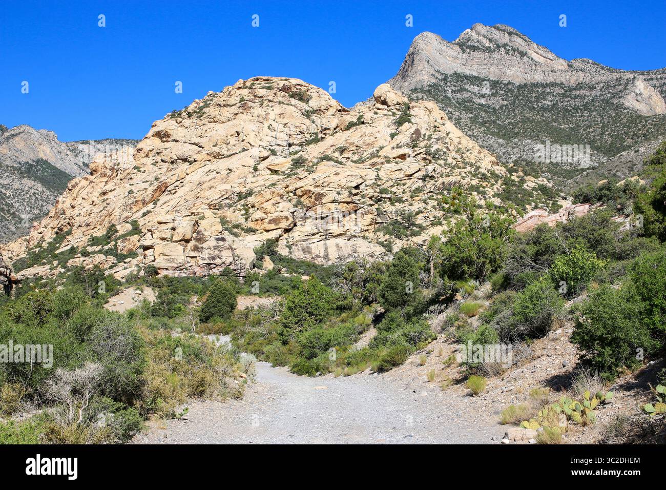 Der Wanderweg führt durch zerklüftetes Gelände unter einem hellblauen Himmel. Stockfoto