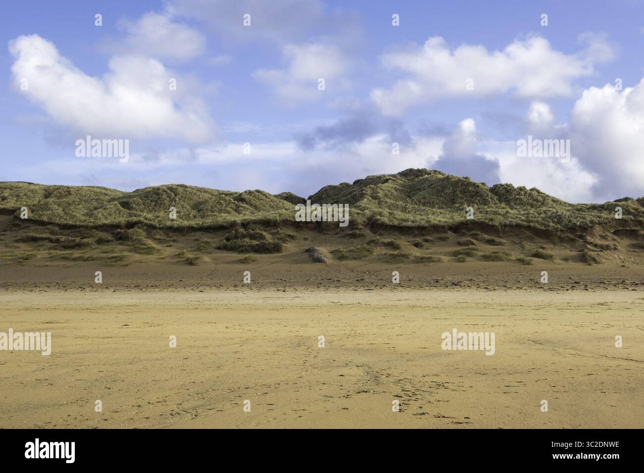 Blick auf goldenen Sand trifft auf grasbewachsene Dünen unter einem hellblauen Himmel mit flauschigen weißen Wolken, die eine ruhige Küstenszene schaffen, Newquay, England, Großbritannien. Stockfoto