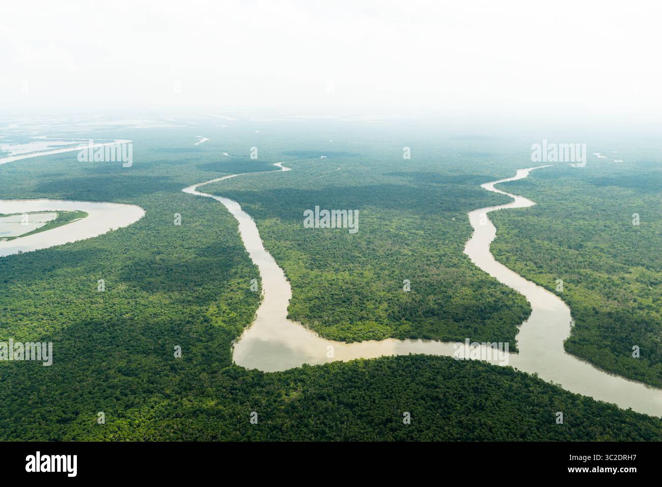 Aus der Vogelperspektive sehen Sie die geschwungenen Flüsse, die durch die dichte, grüne Landschaft schlängeln und einen Wandteppich aus Leben und Gelassenheit schaffen, Khulna Division, Bangladesch. Stockfoto