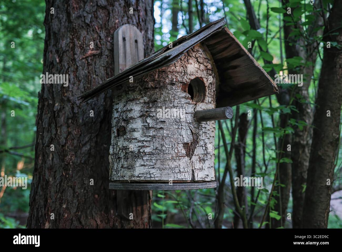 Ein Vogelhaus aus Birkenholz hängt an einem Baum. Das Vogelhaus ist klein und hat ein spitzes Dach Stockfoto
