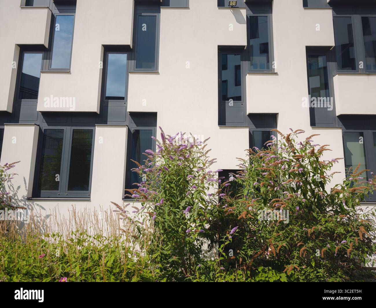 Wien, Österreich, 19. Juli 2023. Das Zentrum der Wirtschaftsuniversität Wien ist die größte Wirtschaftsuniversität Europas. Das Gebäude wurde von Zaha Hadid entworfen. Ungewöhnliche Architektur. Stockfoto
