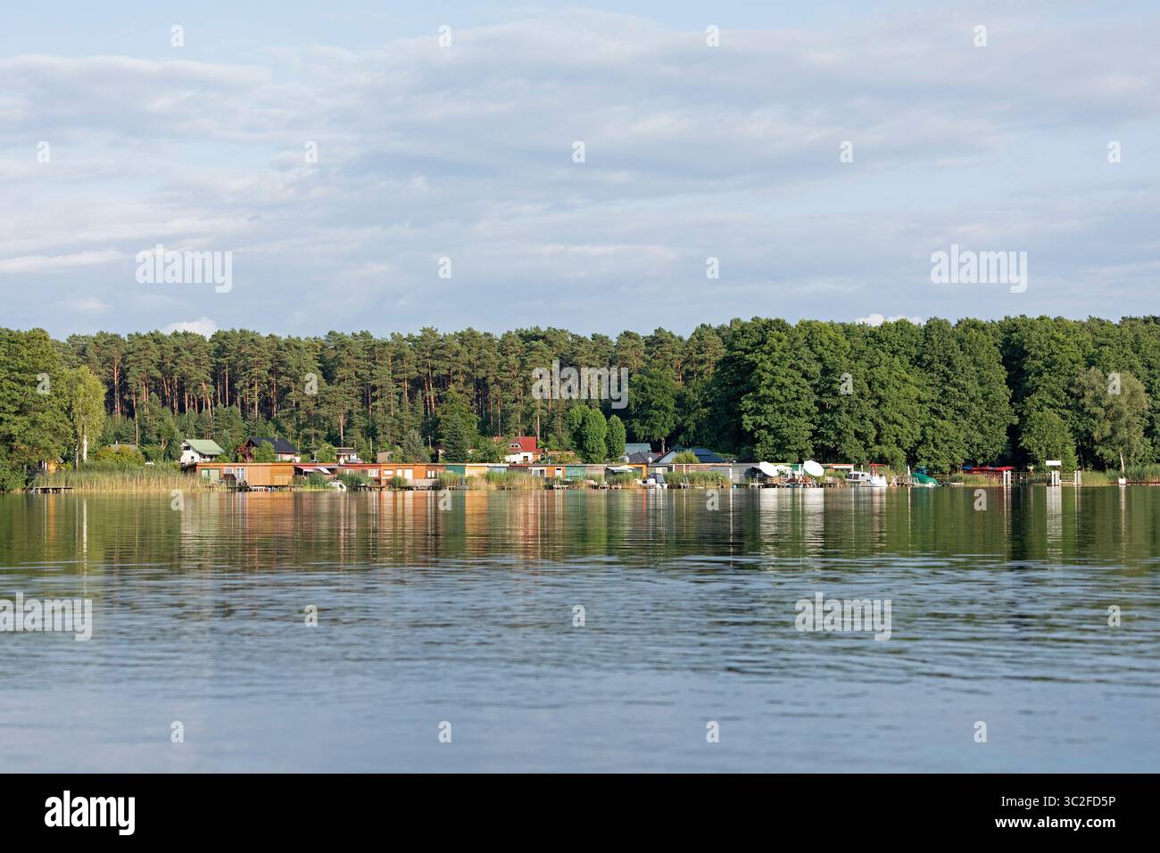 Bootshäuser, Ferienhäuser, Leppiner See, Rechlin, Mecklenburgische Seen, Mecklenburg-Vorpommern, Deutschland Stockfoto Bootshäuser, Ferienhäuser, Leppiner See, Rechlin, Mecklenburgische Seen, Mecklenburg-Vorpommern, Deutschland Stockfoto